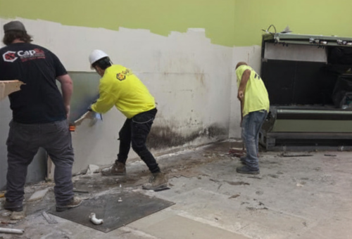 Selective Demo Selective Demo